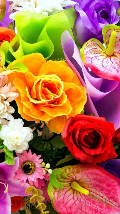 Beautiful Flowers Wallpapers Best Flowers For Lock Screen And Home