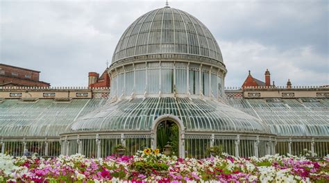 Belfast Botanic Gardens Tours Book Now Expedia