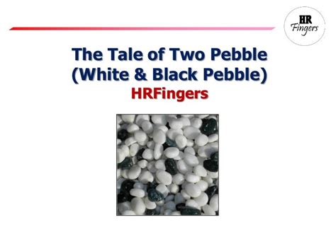 The Tale Of 2 Pebble