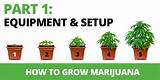Images of Ways To Grow Marijuana