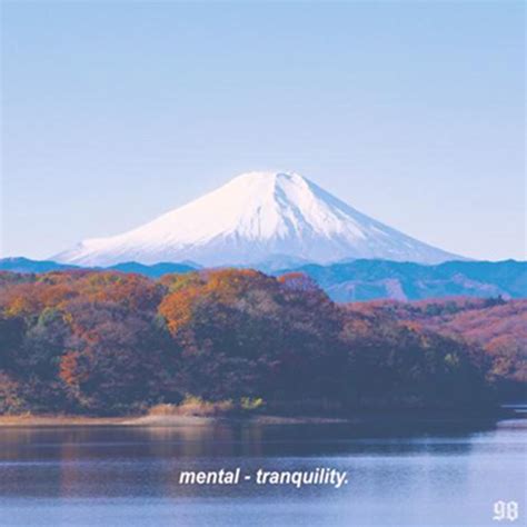 ‎tranquility By Mental On Apple Music