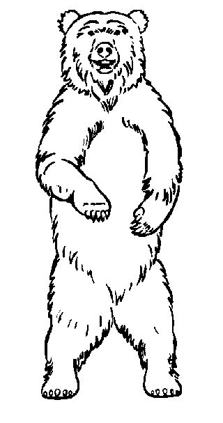 How To Draw A Grizzly Bear Standing Up