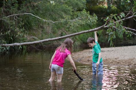Our Simple and Meaningful Life: Exploring the Creek