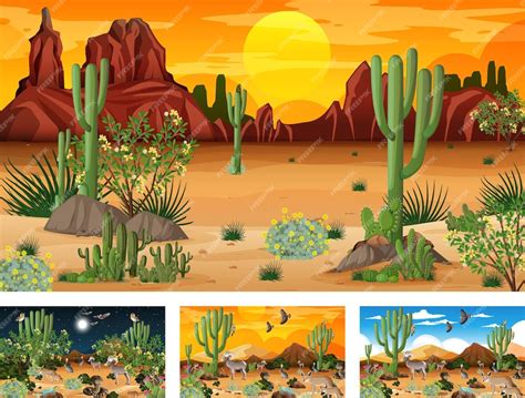 Premium Vector Different Desert Forest Scenes With Animals And Plants