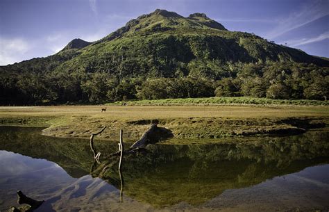 Davao Tourist Spots Mt Apo The Highest Mountain In The Philippines
