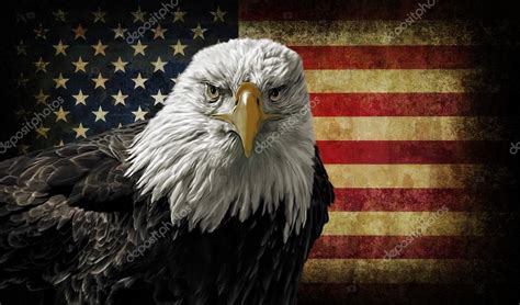 American Bald Eagle On Grunge Flag Stock Photo By ©mshake 61783217