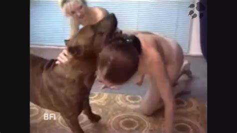 Horny Dirty Women Fucking Their Dog Orgy Animals Porn