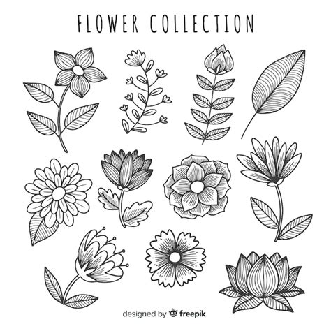 Free Vector Hand Drawn Floral Sketch Collection