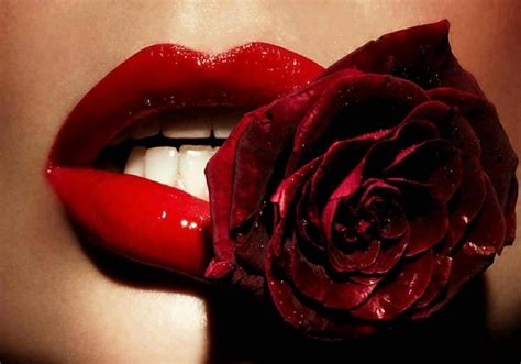 Download Red Lips Biting A Red Rose Wallpaper