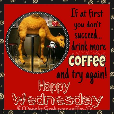 If At First You Dont Succeed Drink More Coffee Happy Wednesday Pictures