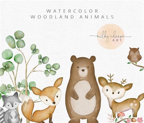 Watercolor Clipart Woodland Animals Clipart Forest Animal Etsy Australia