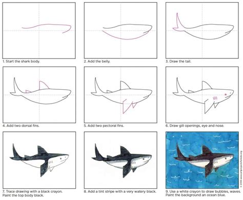 How To Draw A Shark Easy Drawing Projects Vrogue Co