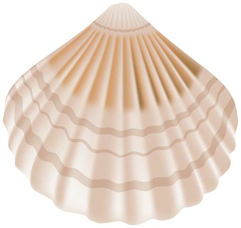 Sea Shell Png 10 Free Cliparts Download Images On Clipground 2023