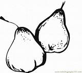 Pears Coloring Pear Printable Fruits Food sketch template