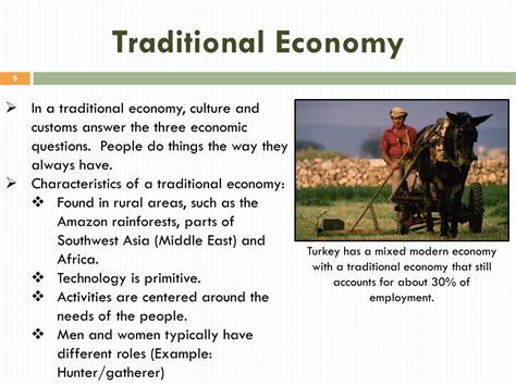 Traditional Economy