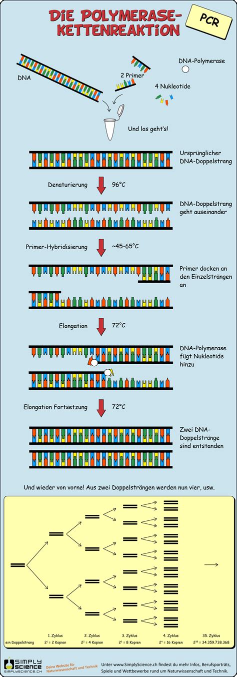 It is an enzymatic method and carried out invitro. DNA kopieren - Mit der Polymerase-Kettenreaktion (PCR ...