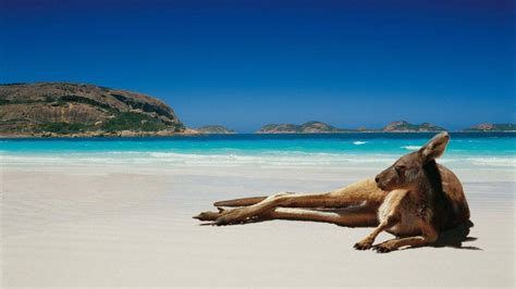 australian beach wallpapers top free australian beach backgrounds wallpaperaccess