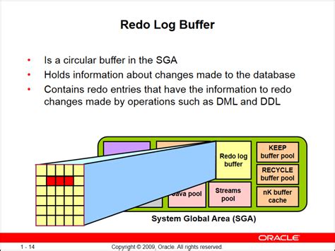 Select oracle database 11g express edition. نگاهی بر معماری Oracle Database 11g - قسمت دوم :: مهندس ...