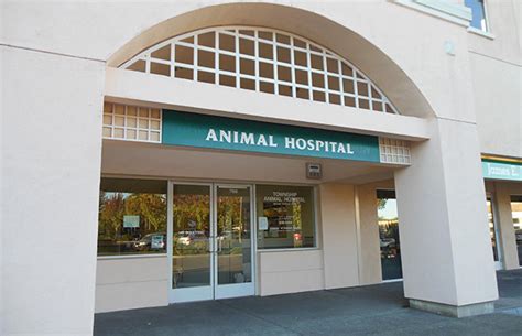 Change your schedule or cancel at any time. Welcome to Our Website - Windsor Veterinarian | Township ...