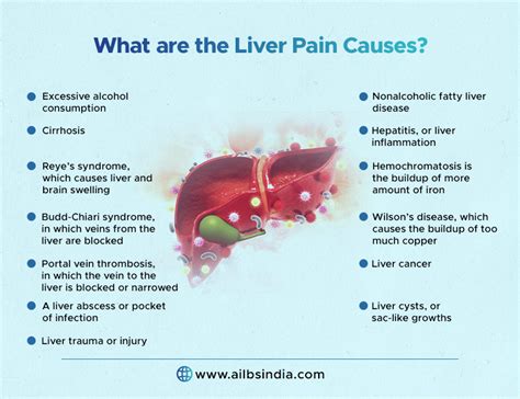 Understanding Enlarged Liver Causes Symptoms And Treatment Ask The