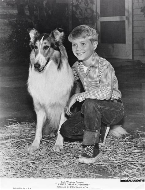 11 Best Timmy And Lassie Images On Pinterest Tv Series Childhood