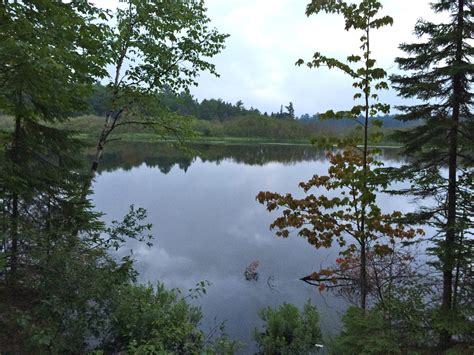 Maybe you would like to learn more about one of these? OUT OF FRAME: Tahquamenon Falls State Park