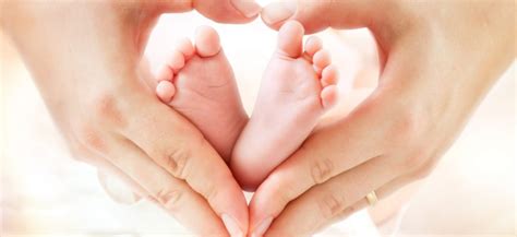 Fertility Pregnancy Childbirth And The Postpartum Period