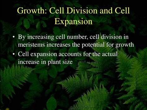 Apart from the cell wall, there are other organelles that are associated with different cellular activities. PPT - Plant Structure and Function Ch. 35 PowerPoint ...