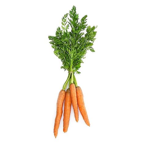 Fresh Carrots 1 Pound