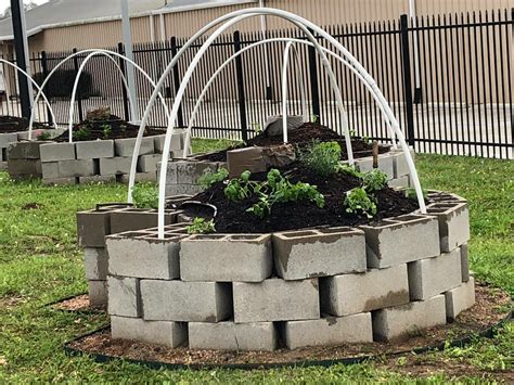 Cinder/concrete blocks for raised beds, concerned? - General Gardening