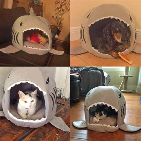 Shark Shaped Dogcat Bed