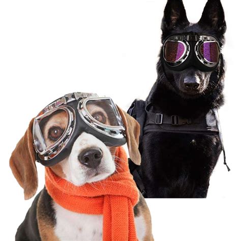 Dog Sunglasses Windproof Anti Breaking Sunglasses Pet Goggles Eye Wear