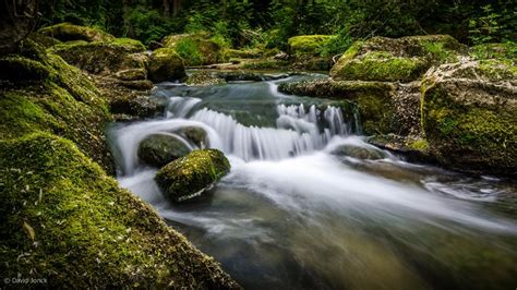 River Forest Moss Rocks Stones Hd Wallpaper Nature And Landscape