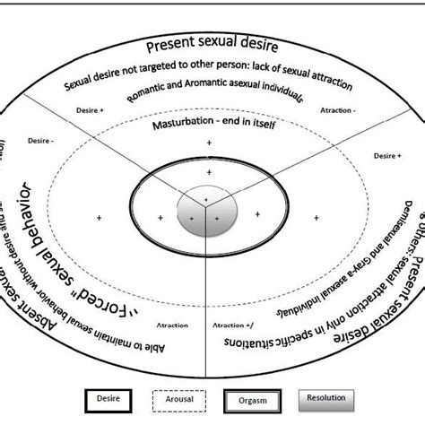 Cycle Of Human Sexual Response Desire Arousal Orgasm And