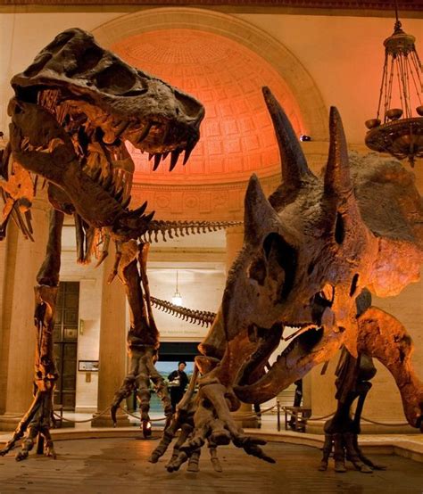 A Night At The Museum 10 Museums That Host Sleepovers Night At The
