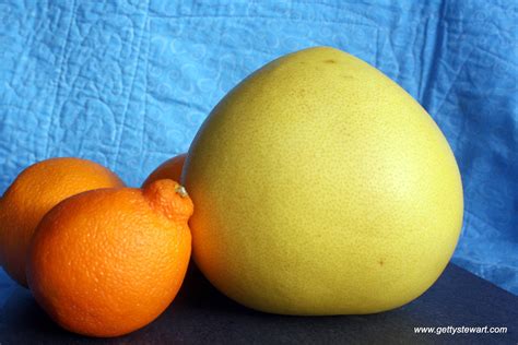 Honey Pomelo - what is it, how to peel it and eat it? - GettyStewart.com