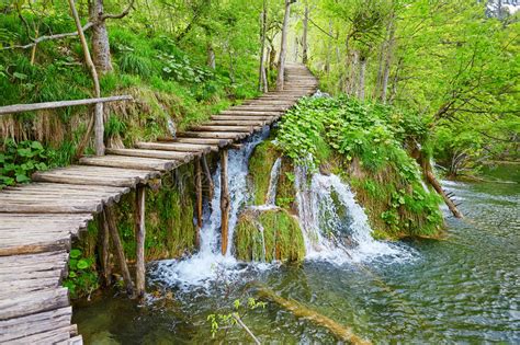 Wooden Path In Plitvice Lakes National Park Stock Photo Image Of