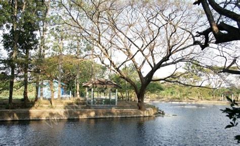 Jelajahi salah satu museum seni terbesar di amerika. Danau Ronggojalu Probolinggo, Sejarah, Lokasi, Tiket Masuk ...