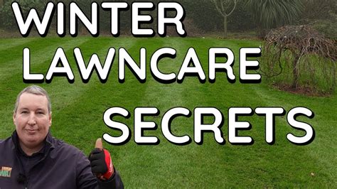 How I Green Up My Lawn In Winter Easy With A Bonus Tip Worms Youtube