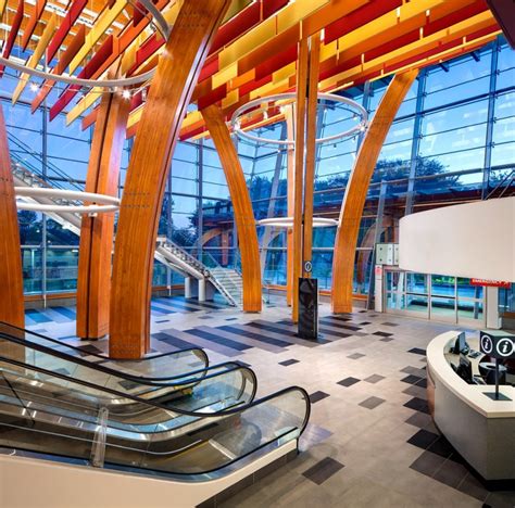 Bold Biophilic Design Benefits Of Wood In Healthcare Environments