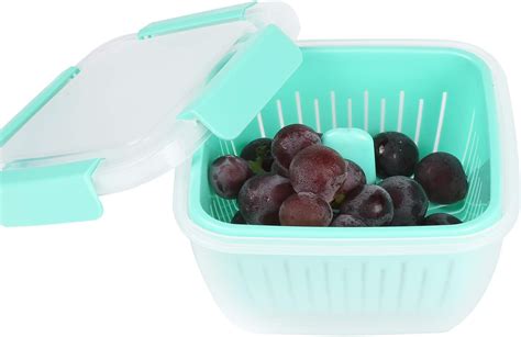 Shopwithgreen Berry Keeper Box Containers Berry Boxes Keep Fresh