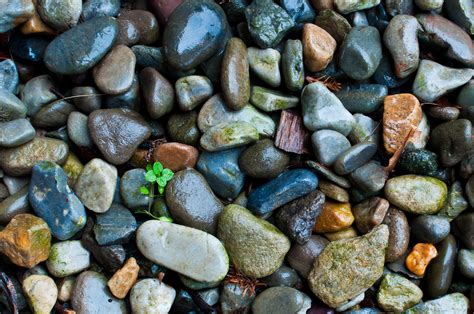 Macro Pebbles Stones Nature Beach Sea Textures