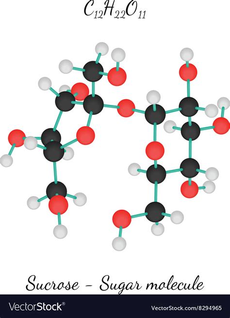 C12h22o11 Sucrose Sugar Molecule Royalty Free Vector Image