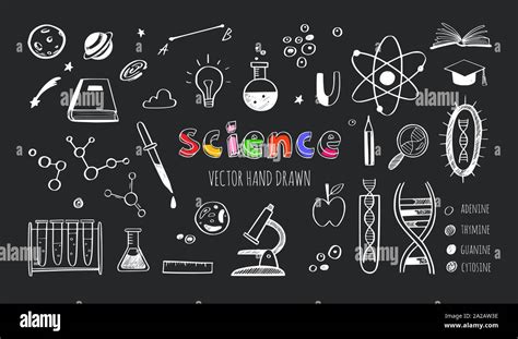 Vector Hand Drawn Science And Education Doodle Set Dna Biology