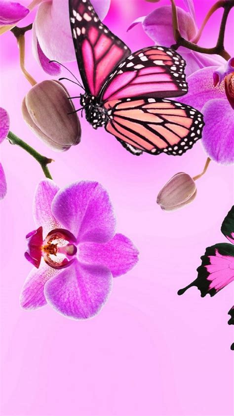 Pink Butterfly Wallpaper Android 2021 Android Wallpapers
