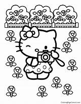 Kitty Coloringpagecentral sketch template