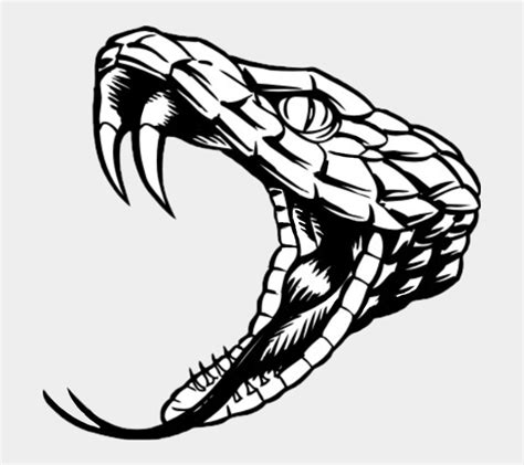 Álbumes 98 Imagen How To Draw A Snake Head Lleno