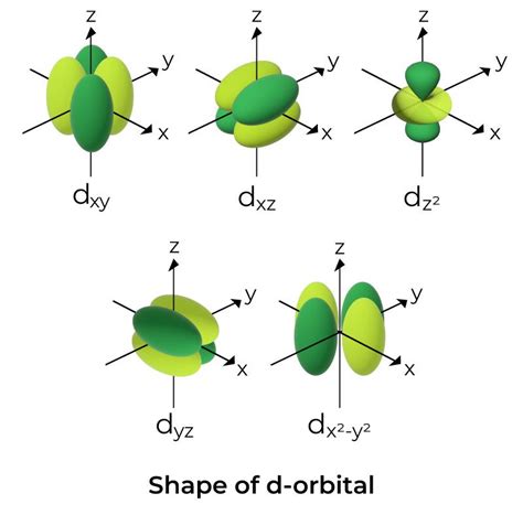 Shapes Of Atomic Orbitals Shape Of S P D F Orbitals Faqs Examples