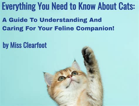 Everything You Need To Know About Cats A Comprehensive Guide To Understanding And Caring For