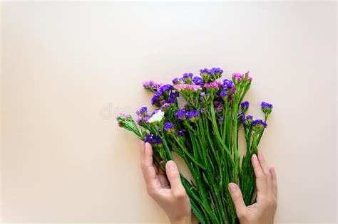 Drucke eigene designs auf stoffen, tapeten und geschenkpapieren mit spoonflower schon ab $5. Hände, Die Blumenstrauß Von Weißen Und Purpurroten Tulpen ...